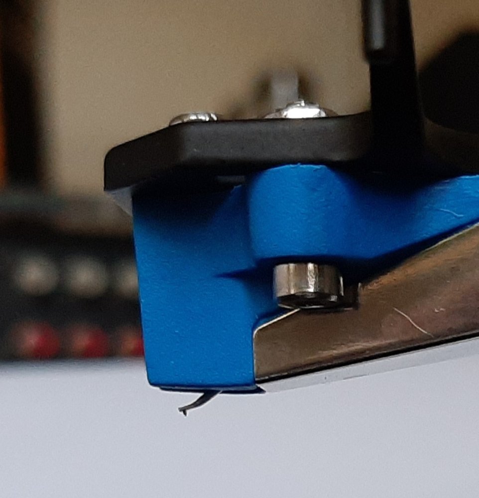 20201006_151014.jpg